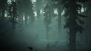 Halloween Haunted Swamp Ambience Soundscape Background Sounds  2 hours [upl. by Hassadah]