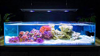 How I Built My Shallow Reef Tank How To Make a Reef Tank [upl. by Thar]