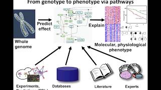 Introduction to Pathway and Network Analysis [upl. by Hannahsohs]