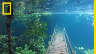 Heavy Rains Submerge Hiking Trails in Crystal Clear Waters  National Geographic [upl. by Llennehc]