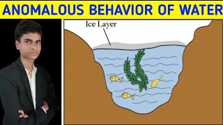 Anomalous behavior of water  Concept explained [upl. by Kcira799]