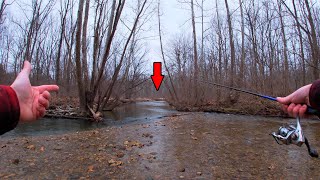 TROUT Fishing The MOST Pressured Creek in Pennsylvania [upl. by Akeihsat]