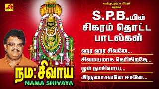 நமசிவாய நமசிவாய பாடல்  Namasivaya Song Subam AudioVision shivansongs devotionalsong spbsongs [upl. by Ajoop352]