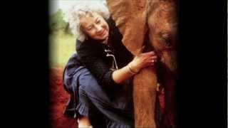 Dame Daphne Sheldrick on Love Life and Elephants [upl. by Akenahc]