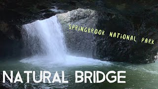 Natural Bridge  Springbrook National Park  Gold Coast Australia [upl. by Syl976]