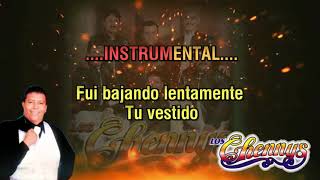 Los Chennys Gavilan o Paloma Karaoke by BJDJMIX [upl. by Aig]