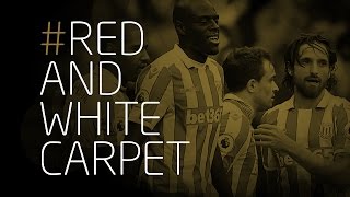 Stoke City Goal of the Season 201617 [upl. by Ahsimet340]