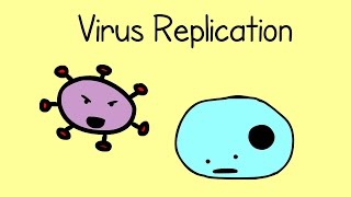 Virus Replication [upl. by Pantheas]