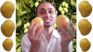 सफेदाबादामबैंगनपल्ली आम। SafedaBadamBanganapalli Mango [upl. by Haldi]