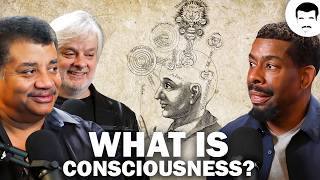 David Chalmers Discusses the Hard Problem of Consciousness [upl. by Berkshire]