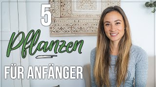 5 Must Have Zimmerpflanzen für Anfänger [upl. by Aisined]