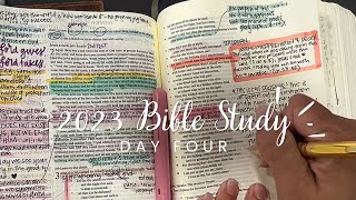 Day 4 Job 15  Bible study for beginners [upl. by Sion]