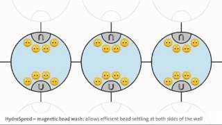 Efficient washing of magnetic beads [upl. by Netaf]