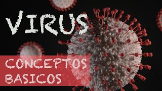 Virus virión viroide y provirus conceptos básicos [upl. by Georgianne]