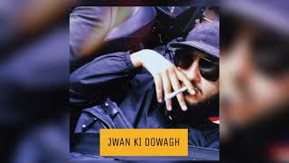 3ROBI  JWAN KI DOWAGH OFFICIAL AUDIO [upl. by Quin]