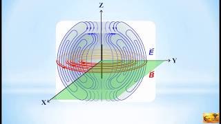 CST Tutorial Halfwave Dipole Simulation Boundary Conditions amp Mesh Generation [upl. by Hinkel]