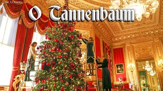 O Tannenbaum 🎄 German Christmas songEnglish translation [upl. by Jerrie962]