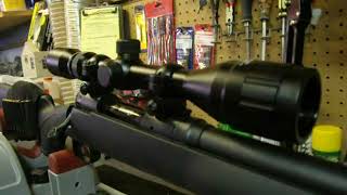 Bushnell 412x40 Riflescope Review  Donnie D [upl. by Karli455]