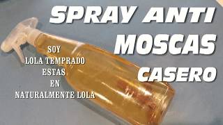 📣No mas MOSCAS en tu HOGAR con este spray ANTI MOSCAS Casero🌎 [upl. by Ilrahs303]