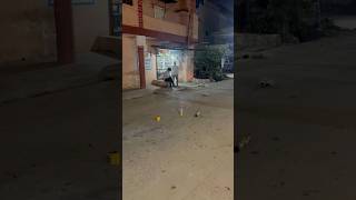 Dar ka mahool hai🫨diwali special firework💥subscribe the channel for more videos… [upl. by Avilla]