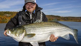 Giant Striped Bass in New Brunswick  Fishn Canada [upl. by Eirrek553]