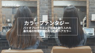 【カラーファンタジー】東京青山でカラーファンタジーが得意の美容室 [upl. by Nireves]