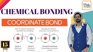 Chemical Bonding । Class 11 L15 । Coordinate Bond । Back Bonding [upl. by Cordova]