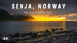 Senja Island Norway  4K Unspoiled Beauty [upl. by Bricker]