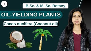 Economic Botany  OILYIELDING PLANTS  Cocos nucifera coconut oil  B Sc amp M Sc [upl. by Mchenry]