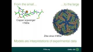 Finding the best data for your needs in the PDB archive [upl. by Socrates]