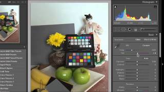 Lesson 22  How to Correct White Balance with Grey Card in Lightroom and Camera Raw [upl. by Mcintyre189]