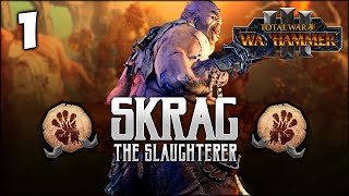 THE SLAUGHTERER RISES Total War Warhammer 3  Skrag the Slaughterer  Ogre Kingdoms Campaign 1 [upl. by Ut677]