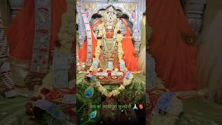 Maa Ashapura Bhajan  आशापुरा माता जी भजन shorts [upl. by Favianus]