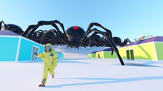 BIG BIG spider invasion  next level [upl. by Ontine607]