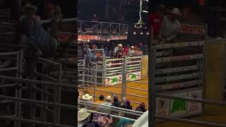 Spider Cowboy 🤠wrecks bullriding [upl. by Joliet956]