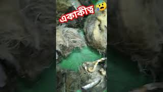 একাকীত্ব 😰 আল্লাহ waz জীবন ytshorts [upl. by Anaeco]