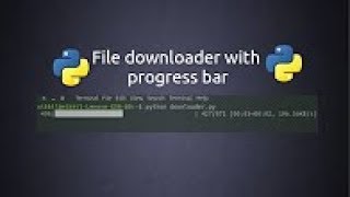 file Downloader with progess bar python [upl. by Aneloaup]