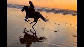 Agadir beach horse riding [upl. by Ngo]