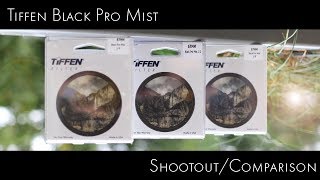 Tiffen Black Pro Mist 12 vs 14 vs 18 on Panasonic GH5s amp Sigma 16 mm [upl. by Wendye]