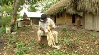 The Mayas of Belize  Belize Culture [upl. by Adnert]