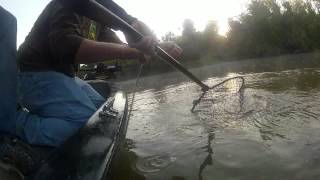 Catfishing Trotlining for Flatheads [upl. by Adiesirb519]