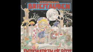 Absturzende Brieftauben  Entschuldigen Sie Bitte 1988 Full album Vinyl [upl. by Coveney]