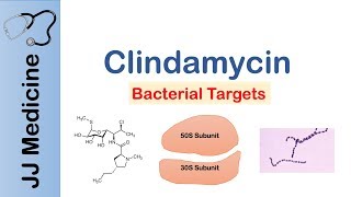 Clindamycin  Bacterial Targets Mechanism of Action Adverse Effects [upl. by Errehs]