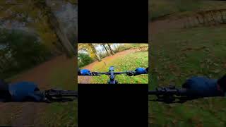 HAWE Herfst MTB Tocht 2024 🍁🍂 mtbrides mtb orbea mountainbike mtblife hardenberg xc [upl. by Sakul1]