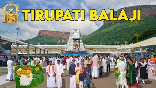 Tirupati Balaji Temple Darshan  तिरुपति बालाजी  Tirupati Balaji Tour Guide Vlog  Tirumala Temple [upl. by Amoritta364]