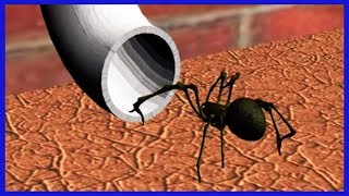 Incy Wincy Spider  Nursery Rhyme Video  Cartoons For Toddlers  Learning Videos For Babies [upl. by Sanfred]