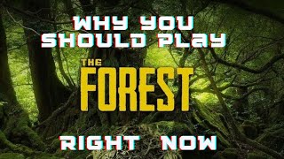 The Forest Review [upl. by Nivad]