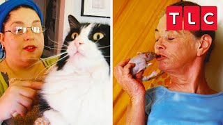 EXTREME Animal Addictions  My Strange Addiction  TLC [upl. by Enylodnewg941]