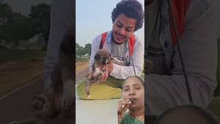 Dog car 🚗 ke upar jula jularah hai shorts comedy [upl. by Scottie]