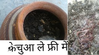 फ्री फ्री फ्री Vermi compost making in home kechua khad ghar par kaise banaye javik kheti farming [upl. by Dobrinsky]